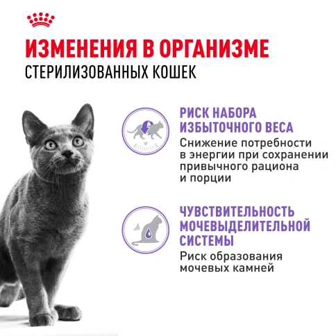 Влажный корм Royal Canin Sterilised в соусе для стерилизованных кошек старше 1 года, пауч, 85 г фото 9