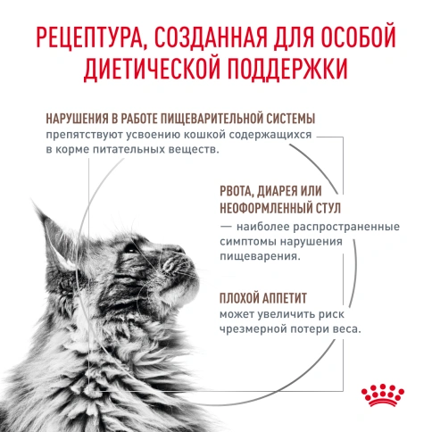 Сухой корм Royal Canin Gastrointestinal для кошек, 2 кг фото 3