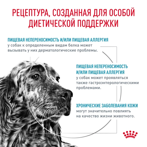 Сухой корм Royal Canin Hypoallergeniс для собак, 1,5 кг фото 3