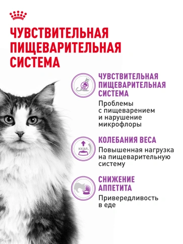 Сухой корм Royal Canin Sensible для кошек, 2 кг фото 17