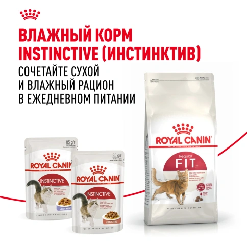 Сухой корм Royal Canin Fit для кошек, 2 кг фото 8