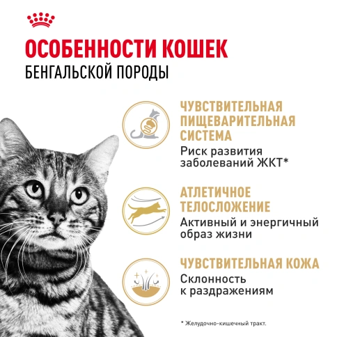 Сухой корм Royal Canin Bengal для кошек бенгальской породы, 2 кг фото 2