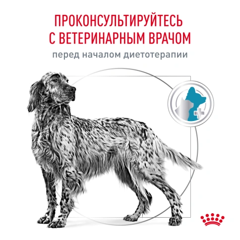 Сухой корм Royal Canin Hypoallergeniс для собак, 1,5 кг фото 8