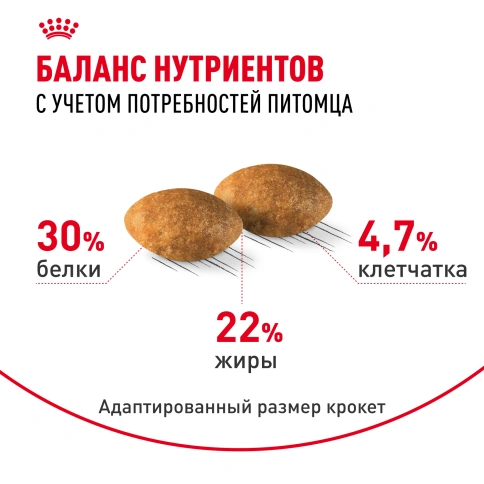 Сухой корм Royal Canin Persian для кошек персидской породы, 2 кг фото 4
