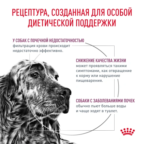 Сухой корм Royal Canin Renal для кошек при заболеваниях почек, 2 кг фото 3