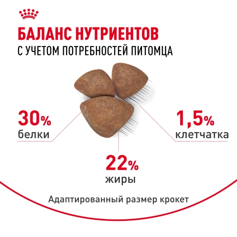 Сухой корм Royal Canin Mini Starter Mother & Babydog для щенков и кормящих сук, 8,5 кг фото 4
