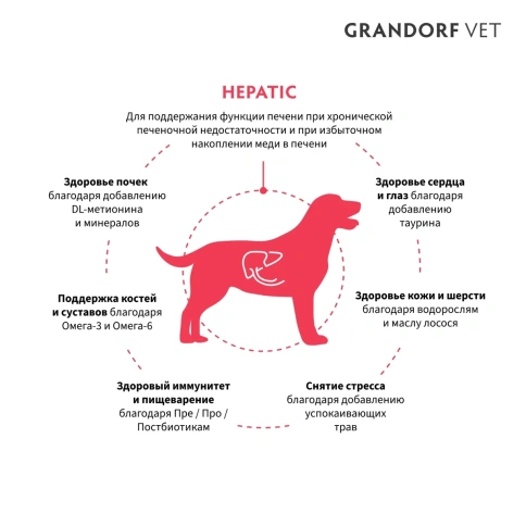 Сухой корм Grandorf Veterinary Hepatiс для собак при заболеваниях печени, 3 кг фото 2