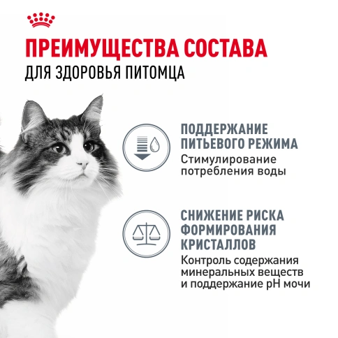 Влажный корм Royal Canin Urinary Care в соусе для кошек для поддержания здоровья мочевыделительной системы, пауч, 85 г фото 3