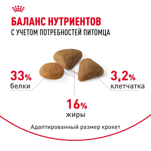 Сухой корм Royal Canin Savour Exigent для кошек, 10 кг фото 4