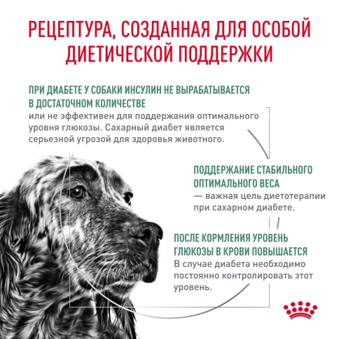 Сухой корм Royal Canin Diabetiс для собак, 12 кг фото 3
