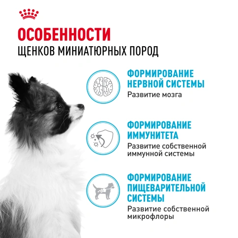 Сухой корм Royal Canin X-Small Puppy для щенков, 3 кг фото 2