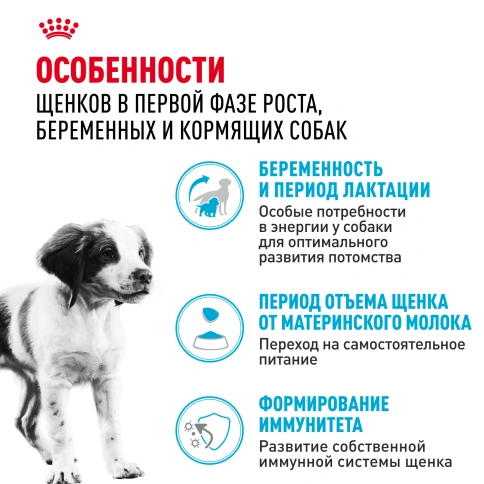 Сухой корм Royal Canin Medium Starter Mother & Babydog для щенков и кормящих сук, 4 кг фото 3