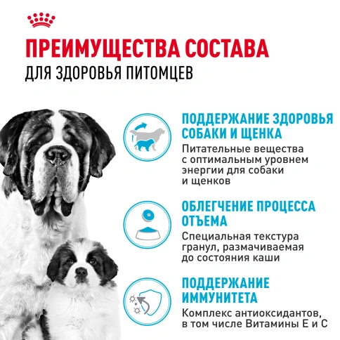 Сухой корм Royal Canin Giant Starter Mother & Babydog для щенков и собак, 4 кг фото 3