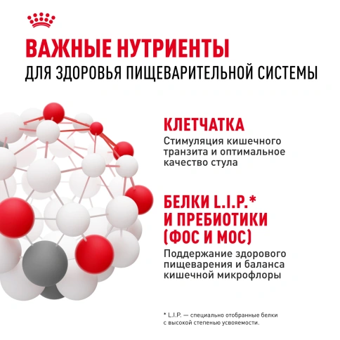 Сухой корм Royal Canin Mini Digestive Care для собак, 3 кг фото 5