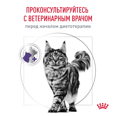 Сухой корм Royal Canin Neutered Satiety Balance для кастрированных котов и стерилизованных кошек до 7 лет, 3,5 кг фото 5