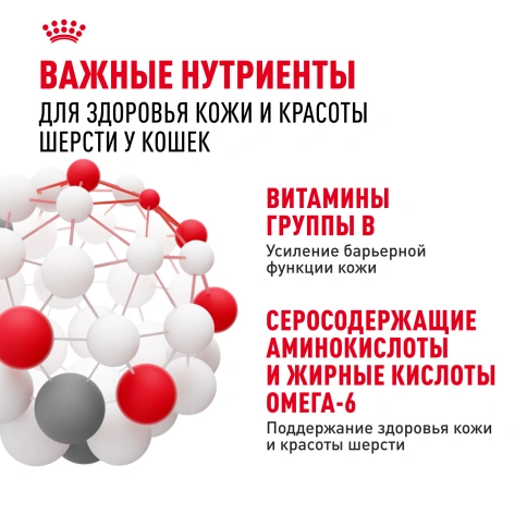 Влажный корм Royal Canin Hair & Skin Care в желе для взрослых кошек старше 1 года, пауч, 85 г фото 6