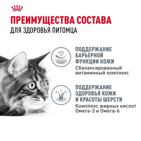 Сухой корм Royal Canin Hair & Skin Care для кошек, 10 кг фото 3