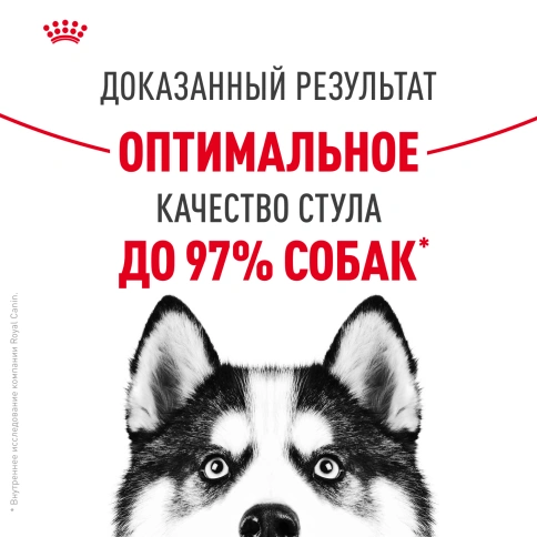 Сухой корм Royal Canin Maxi Digestive Care для собак, 12 кг фото 10