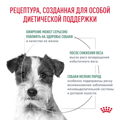Сухой корм Royal Canin Satiety Small Dogs для собак мелких пород для снижение веса, 500 г фото 3
