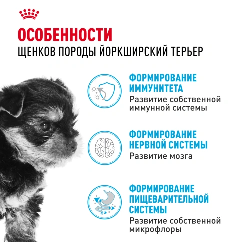 Сухой корм Royal Canin Yorkshire Terrier Puppy для щенков, 500 г фото 2