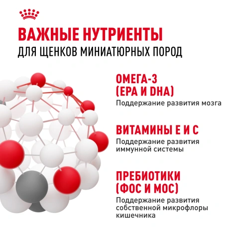 Сухой корм Royal Canin X-Small Puppy для щенков, 500 г фото 6