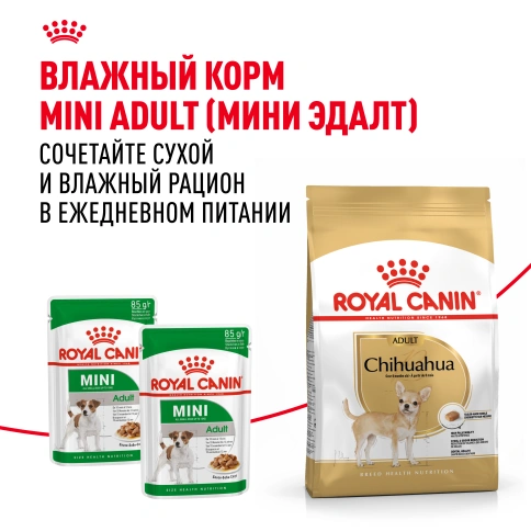 Сухой корм Royal Canin Chihuahua Adult для собак породы чихуахуа, 500 г фото 14