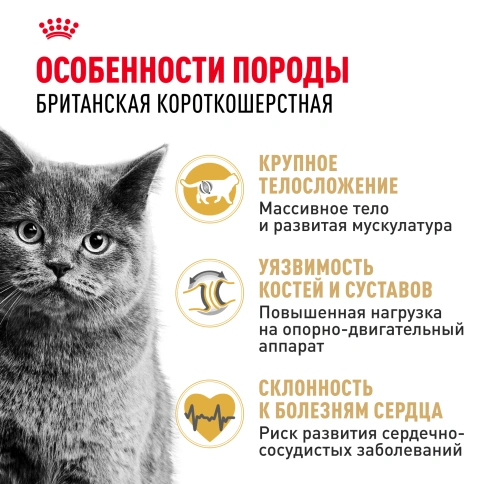 Сухой корм Royal Canin British Shorthair для кошек породы британская короткошерстная, 2 кг фото 3