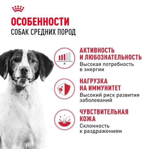 Сухой корм Royal Canin Medium Adult для собак, 15 кг фото 2