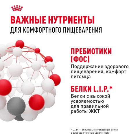 Сухой корм Royal Canin Sensible для кошек, 1,2 кг фото 6