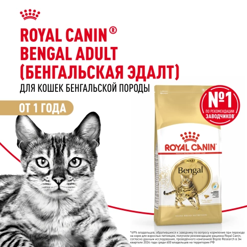 Сухой корм Royal Canin Bengal для кошек бенгальской породы, 2 кг фото 12