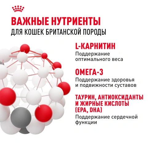 Сухой корм Royal Canin British Shorthair для кошек породы британская короткошерстная, 2 кг фото 5