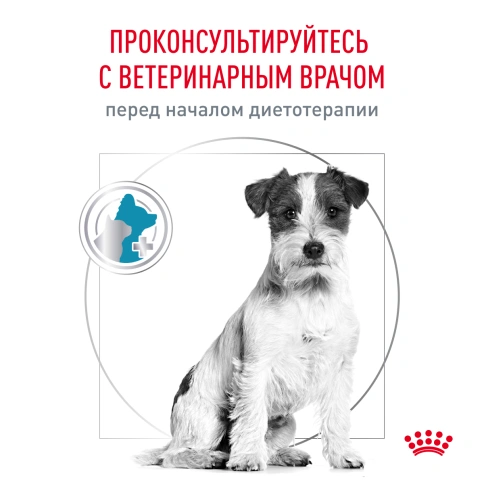 Сухой корм Royal Canin Hypoallergenic Small Dogs для собак, 1 кг фото 8