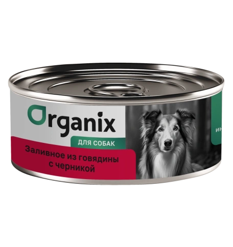 Влажный корм Organix Preventive Line Beef & Blueberry для собак Заливное из говядины, с черникой, 100 г фото 1