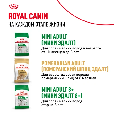 Сухой корм Royal Canin Mini Indoor Adult для собак, 500 г фото 10