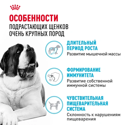 Сухой корм Royal Canin Giant Junior для щенков, 15 кг фото 2