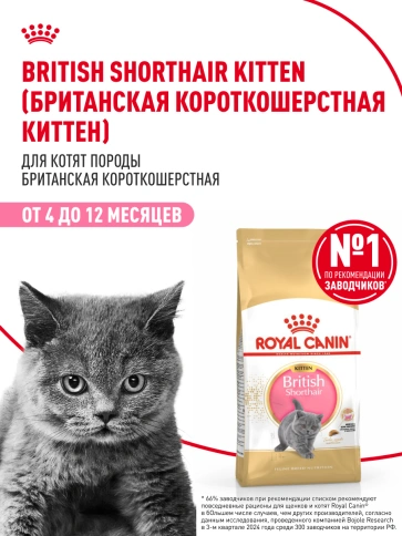 Сухой корм Royal Canin Kitten British Shorthair для котят, 10 кг фото 13