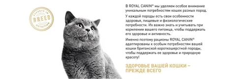 Сухой корм Royal Canin Maine Coon для кошек, 10 кг фото 18