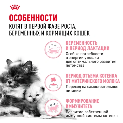 Сухой корм Royal Canin Mother & Babycat для котят, беременных и лактирующих кошек, 4 кг фото 2