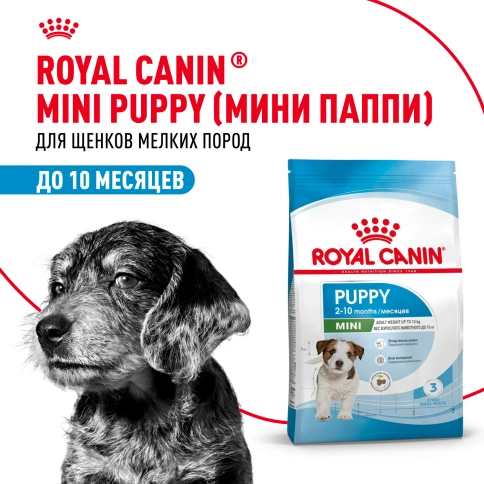 Сухой корм Royal Canin Mini Puppy для щенков, 800 г фото 13