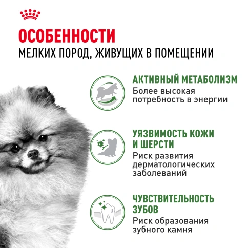 Сухой корм Royal Canin Mini Indoor Adult для собак, 500 г фото 2