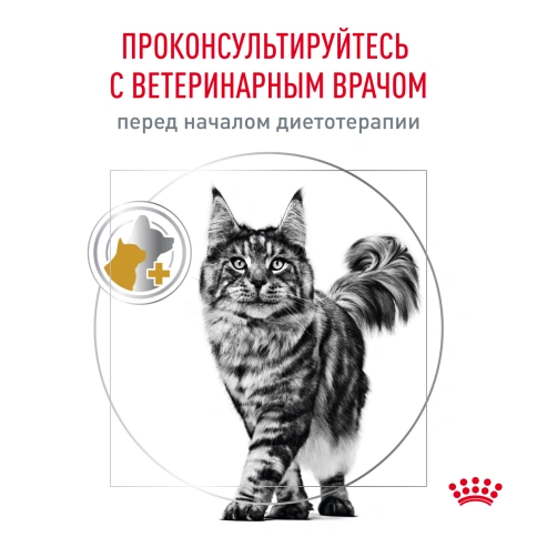 Влажный корм Royal Canin Urinary S/O Moderate Calorie в соусе для кошек при мочекаменной болезни, пауч, 85 г фото 8
