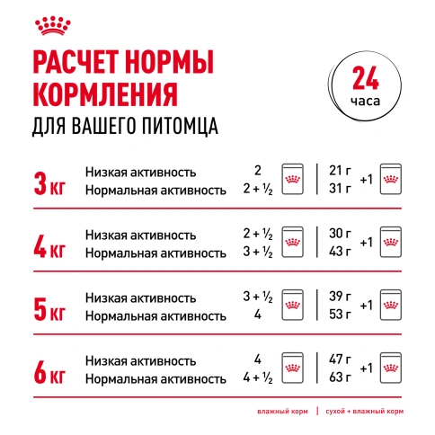 Влажный корм Royal Canin Appetite Control Care в желе для взрослых кошек, для контроля выпрашивания корма, пауч, 85 г фото 8