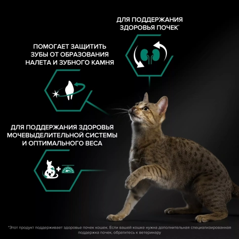 Сухой корм PRO PLAN Salmon для взрослых стерилизованных кошек и кастрированных котов, для поддержания органов чувств, с высоким содержанием лосося, 1,5 кг фото 2