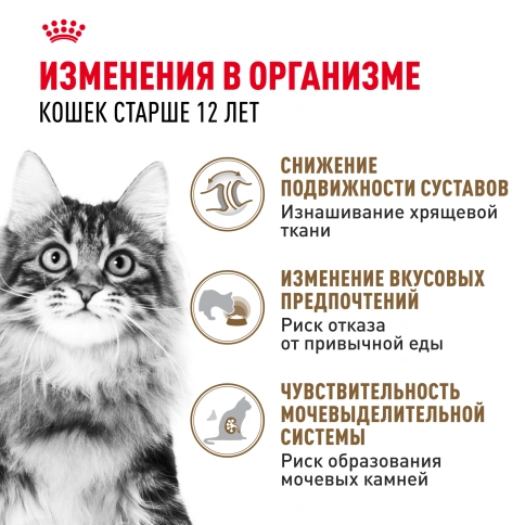Влажный корм Royal Canin Ageing 12+ в соусе для стареющих кошек старше 12 лет, пауч, 85 г фото 3