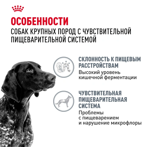 Сухой корм Royal Canin Maxi Digestive Care для собак, 3 кг фото 2
