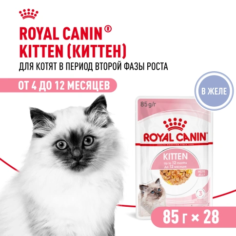 Влажный корм Royal Canin Kitten в желе для котят до 12 месяцев, пауч, 85 г фото 12
