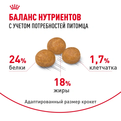 Сухой корм Royal Canin X-Small Adult для собак, 1,5 кг фото 4