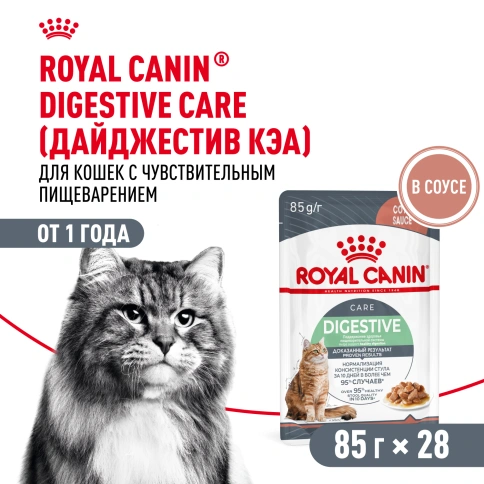 Влажный корм Royal Canin Digest Sensitive в соусе для улучшения пищеварения у взрослых кошек старше 1 года, пауч, 85 г фото 12