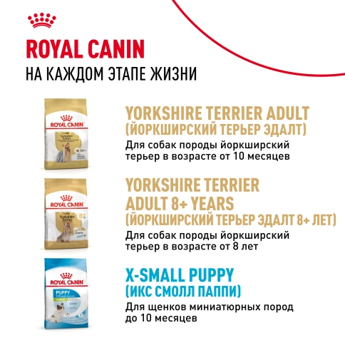 Сухой корм Royal Canin Yorkshire Terrier Puppy для щенков, 500 г фото 10