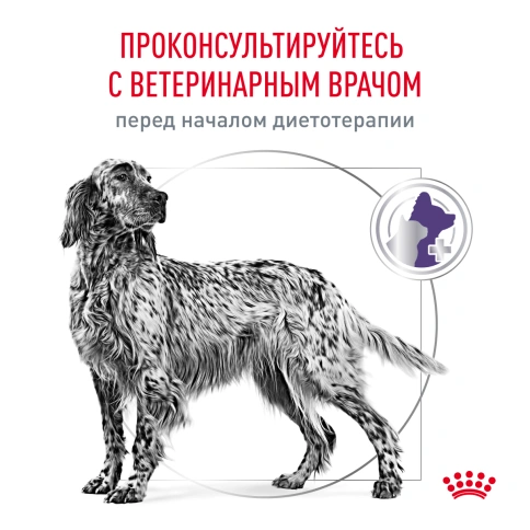 Сухой корм Royal Canin Neutered Adult Medium Dogs для стерилизованных собак средних пород, 3,5 кг фото 5